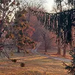 Domaine De Rateau Alojamento de Acomodação e Pequeno-almoço 4*