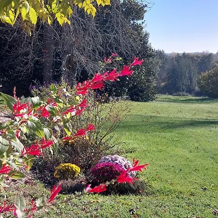 Domaine De Rateau Bayas