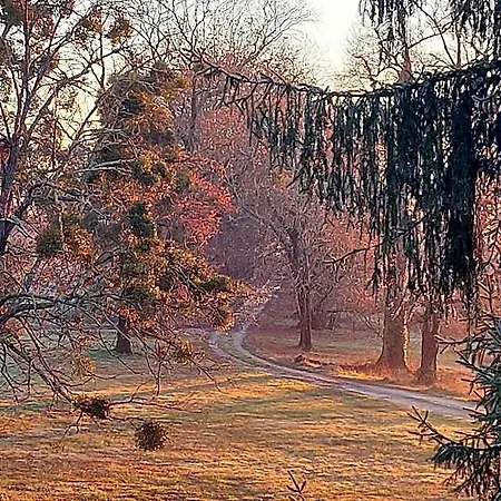 Domaine De Rateau Отель типа 