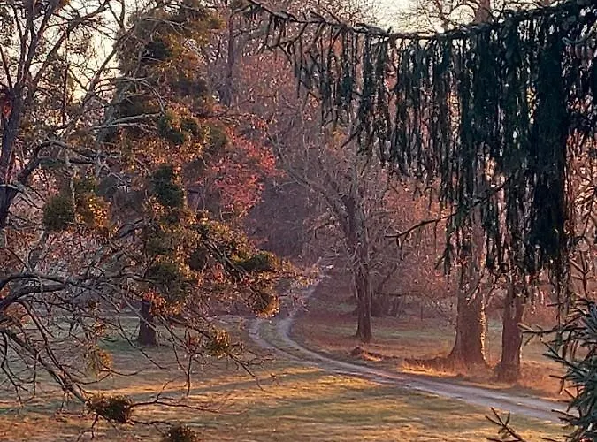 Domaine De Rateau Bed and breakfast 4*