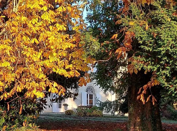 Domaine De Rateau Bayas