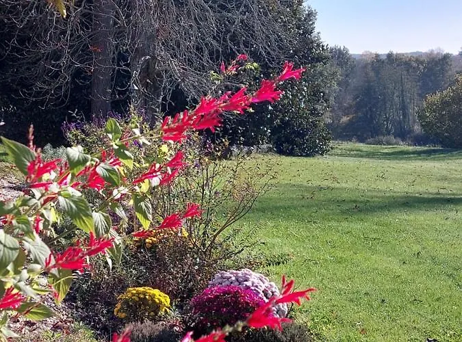 Domaine De Rateau Bayas